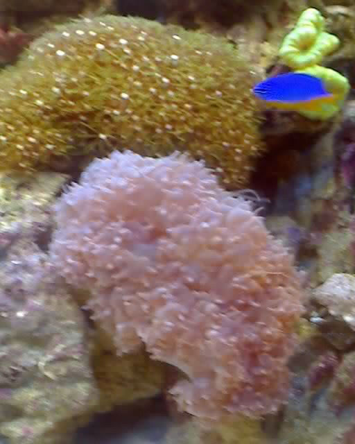 06-07-08_1755.jpg