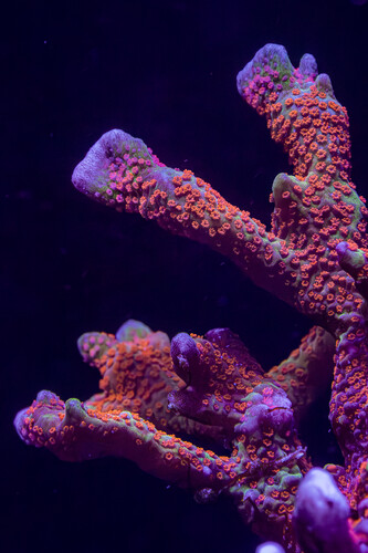 8X2A9849-Enhanced-NR.jpg