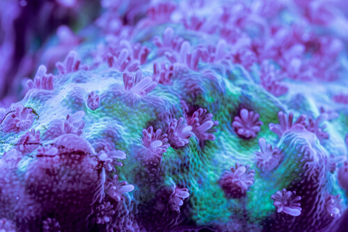 8X2A9846-Enhanced-NR.jpg