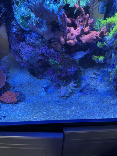 Days af water changes