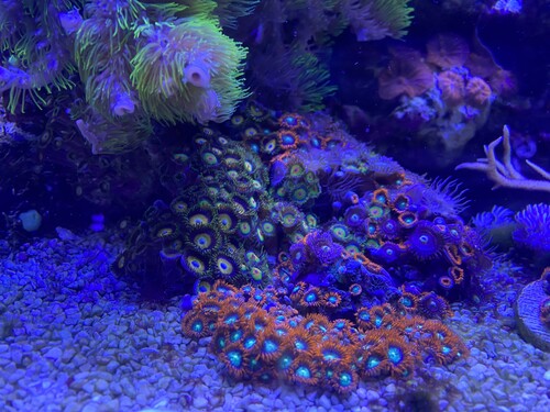 IMG_5069.jpeg