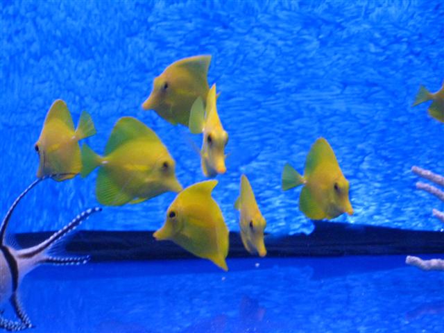 Billede 151 (Small).jpg