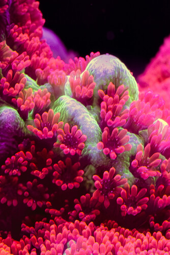 8X2A9863-Enhanced-NR-2.jpg