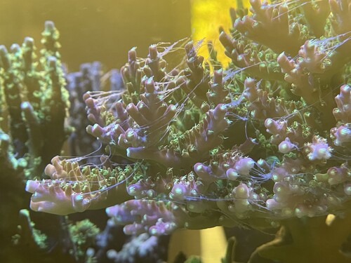 IMG_3930.jpeg