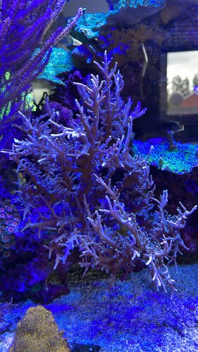 IMG_3939.jpeg