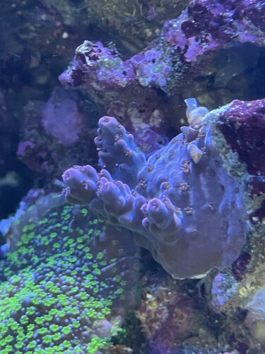 IMG_3950.jpeg