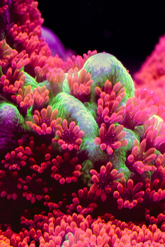 8X2A9863-Enhanced-NR-2.jpg