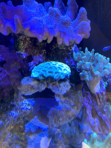 IMG_8301.jpeg