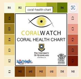 CoralWatch_chart.jpg