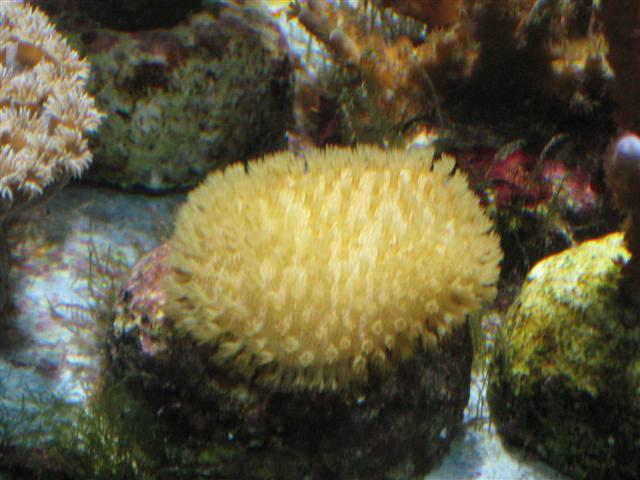 Billede 209 (Small).jpg