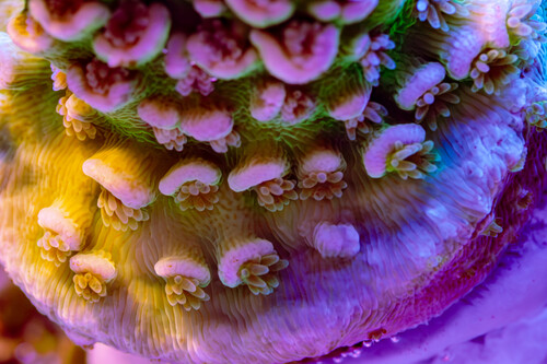 8X2A9895-Enhanced-NR-2.jpg
