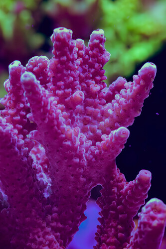 8X2A9902-Enhanced-NR.jpg