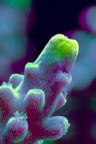 8X2A9905-Enhanced-NR-2.jpg