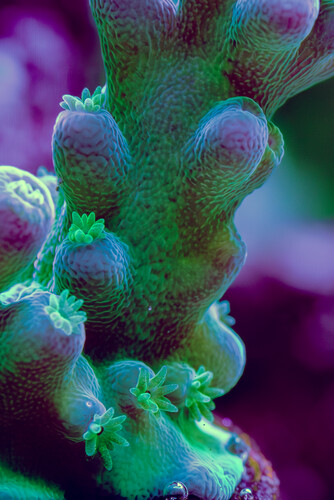 8X2A9905-Enhanced-NR-3.jpg