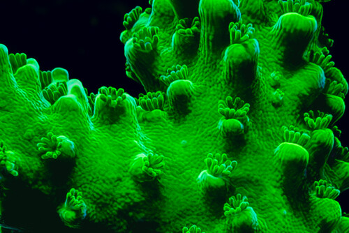 8X2A9912-Enhanced-NR-2.jpg