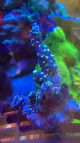 IMG_3965.jpeg (431.13 KiB) Vist 2047 gange 1