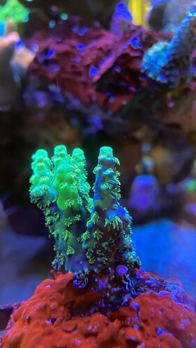 IMG_3966.jpeg (461.16 KiB) Vist 1858 gange 2