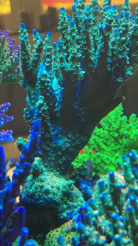 IMG_3969.jpeg (493.36 KiB) Vist 2047 gange 3