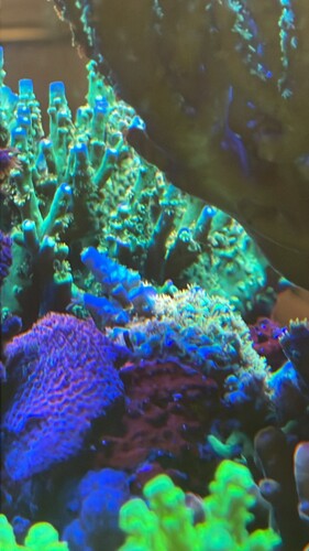 IMG_3968.jpeg (372.94 KiB) Vist 2047 gange WD base