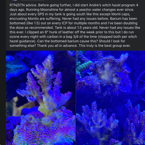 IMG_1598.jpeg (1.44 MiB) Vist 2047 gange A