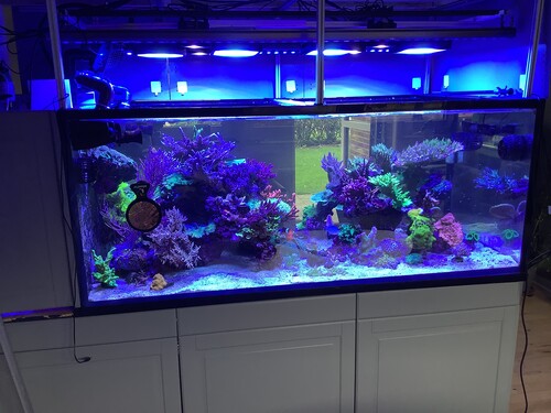 image.jpg (2.86 MiB) Vist 1810 gange After water change