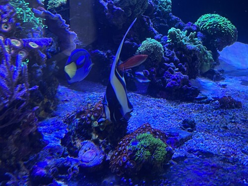IMG_5821.jpeg