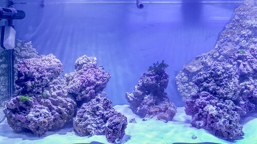20170329_194415.jpg