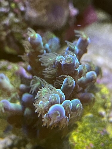 IMG_4006.jpeg