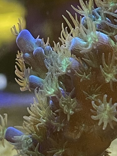 IMG_4007.jpeg