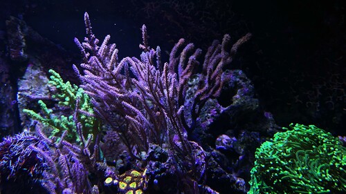 IMG_5876.jpeg