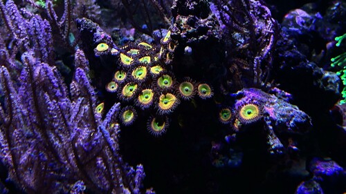 IMG_5875.jpeg