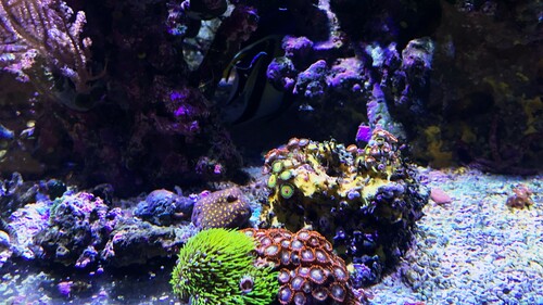 IMG_5874.jpeg