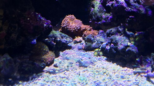 IMG_5873.jpeg