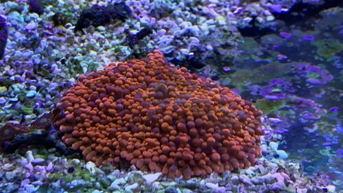 IMG_5872.jpeg