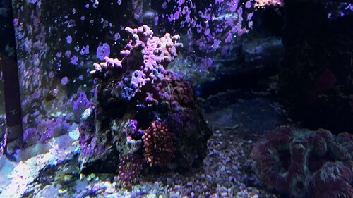IMG_5871.jpeg
