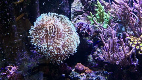 IMG_5870.jpeg