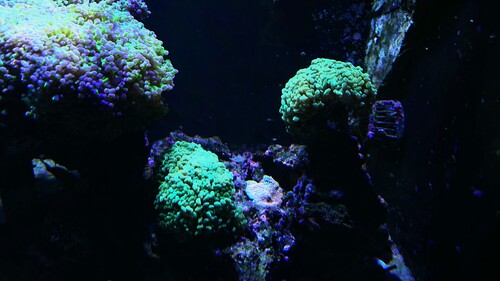 IMG_5866.jpeg
