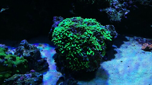 IMG_5865.jpeg
