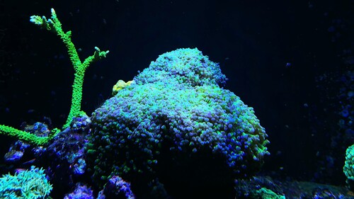 IMG_5864.jpeg