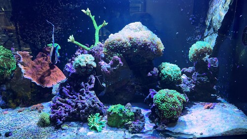 IMG_5862.jpeg