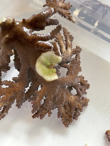 IMG_4086.jpeg (2.4 MiB) Vist 3053 gange Rtn01