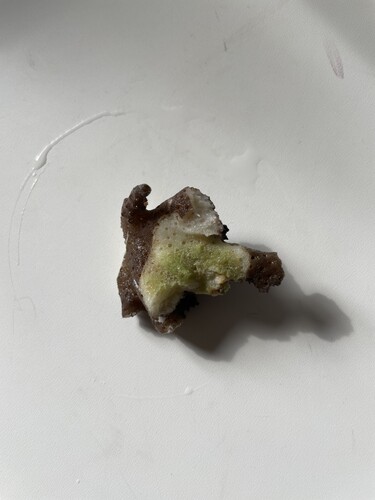 IMG_4088.jpeg (2.44 MiB) Vist 3053 gange Rtn03