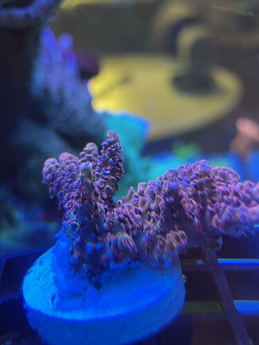 Frag01