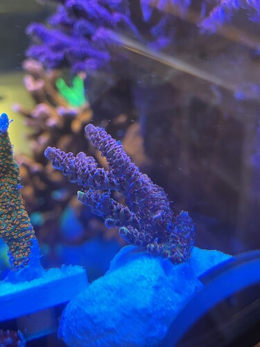 IMG_4091.jpeg (1.95 MiB) Vist 3053 gange Frag03