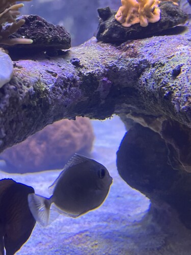 IMG_4431.jpeg