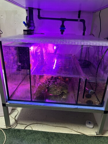 sump.jpg