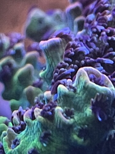 IMG_4257.jpeg
