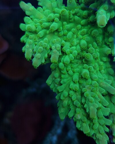 20241110_140928.jpg