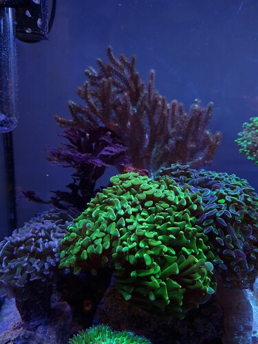 20210730_155349.jpg