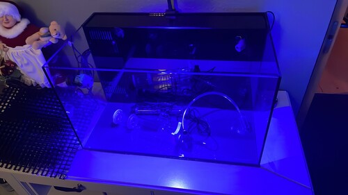 IMG_4351.jpeg